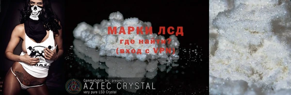 шишки Корсаков