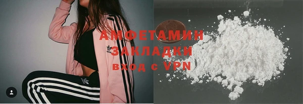 шишки Корсаков