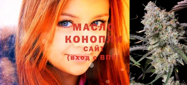шишки Корсаков