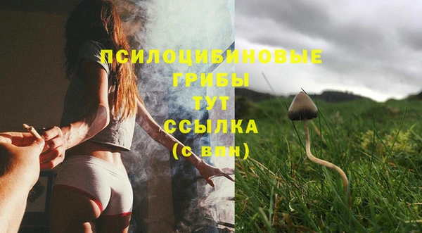 твердый Коряжма