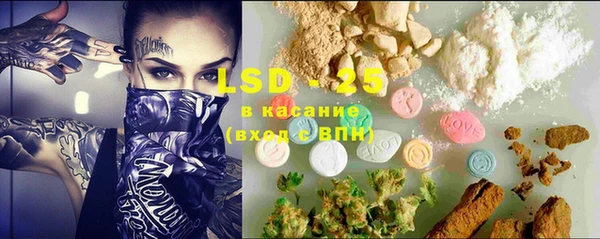 твердый Коряжма