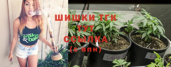 твердый Коряжма