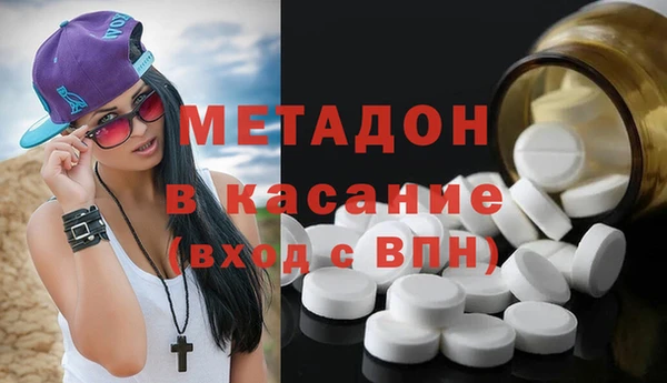шишки Корсаков