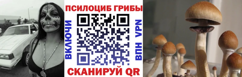 Галлюциногенные грибы Magic Shrooms  Черкесск 