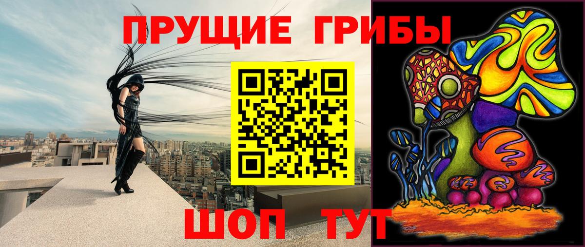 Черкесск  Галлюциногенные грибы Cubensis  купить   Вход с VPN 