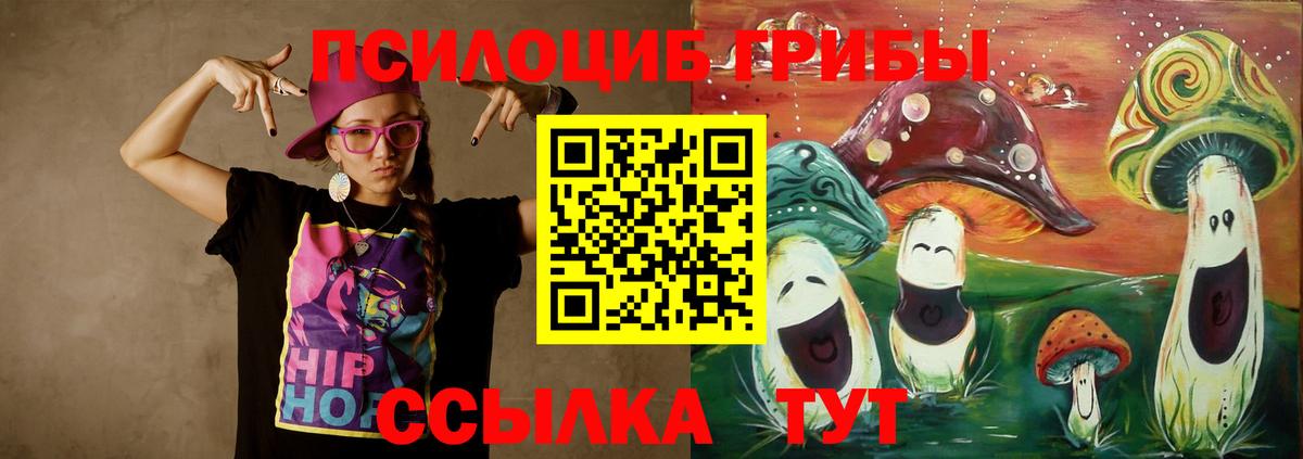 Галлюциногенные грибы мицелий  Псилоцибиновые грибы прущие грибы  купить наркоту  Черкесск 